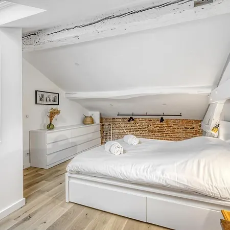 Le Broadway - Duplex Entierement Renove Toulouse