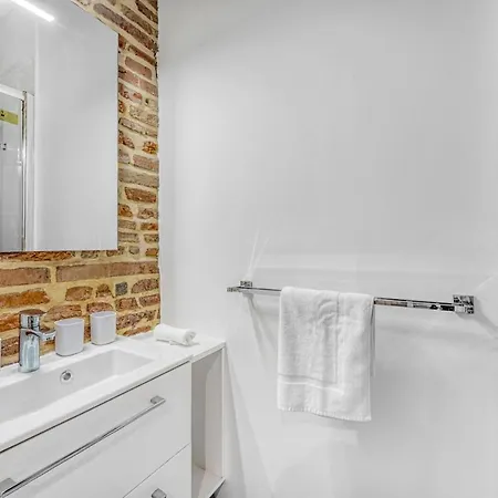 Apartment Le Broadway - Duplex Entierement Renove Toulouse